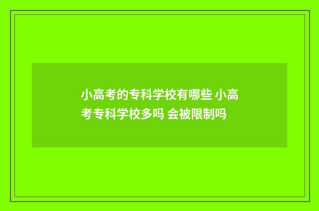 小高考的专科学校有哪些 小高考专科学校多吗 会被限制吗