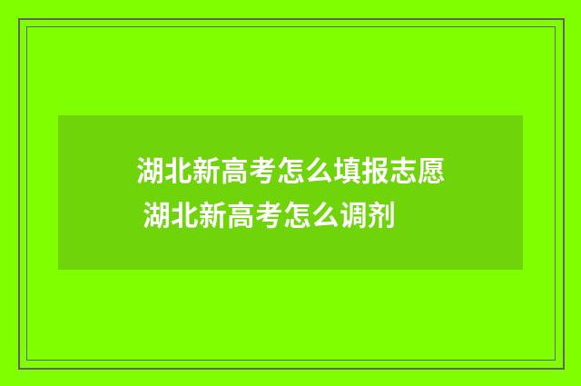 湖北新高考怎么填报志愿 湖北新高考怎么调剂