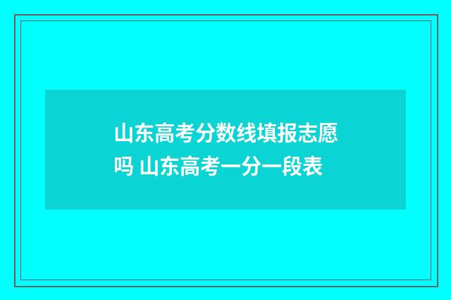 山东高考分数线填报志愿吗 山东高考一分一段表