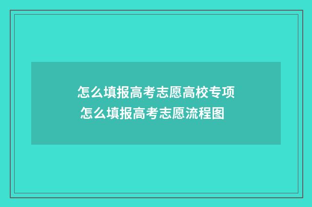 怎么填报高考志愿高校专项 怎么填报高考志愿流程图