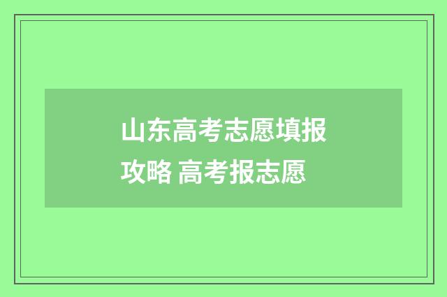 山东高考志愿填报攻略 高考报志愿