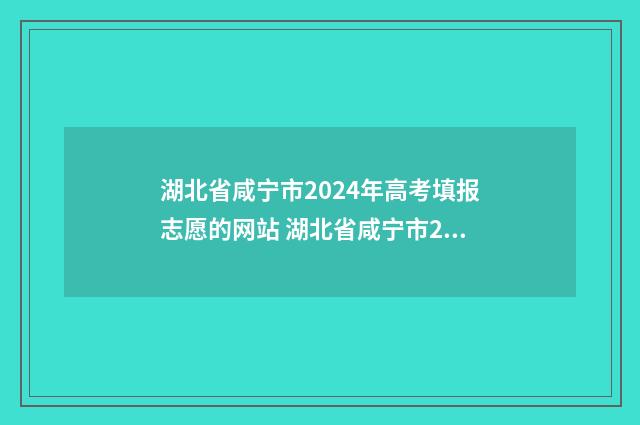 湖北省咸宁市2024年高考填报志愿的网站 湖北省咸宁市2024年国家公务员考试职位表