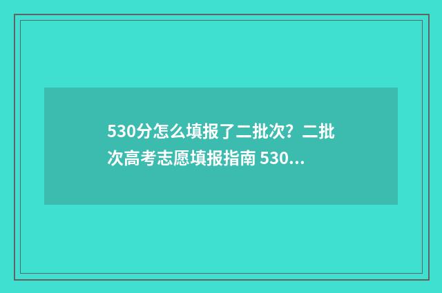 530分怎么填报了二批次？二批次高考志愿填报指南 530分能上什么