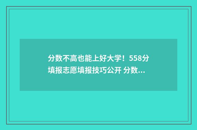 分数不高也能上好大学！558分填报志愿填报技巧公开 分数不高也能上的大学