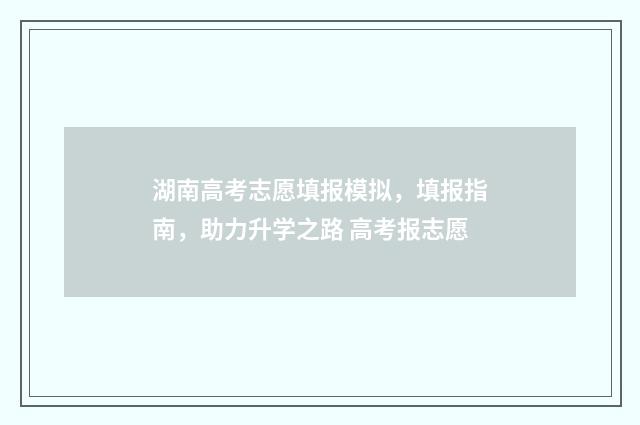 湖南高考志愿填报模拟,填报指南,助力升学之路 高考报志愿