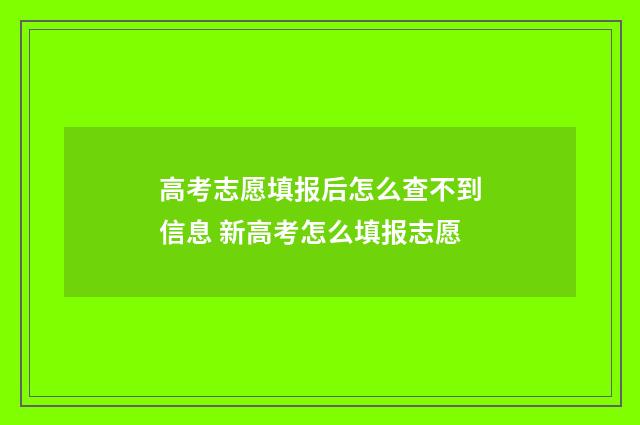 高考志愿填报后怎么查不到信息 新高考怎么填报志愿