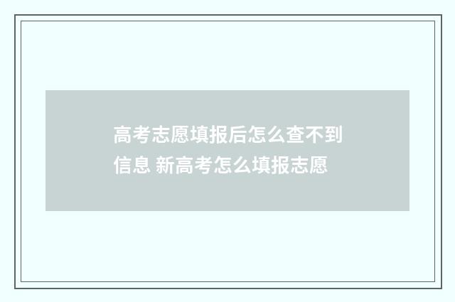 高考志愿填报后怎么查不到信息 新高考怎么填报志愿