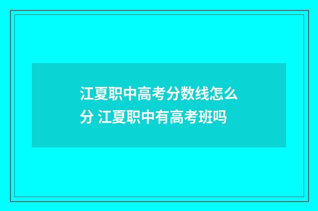 江夏职中高考分数线怎么分 江夏职中有高考班吗