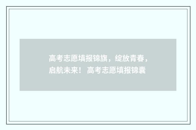 高考志愿填报锦旗,绽放青春,启航未来! 高考志愿填报锦囊