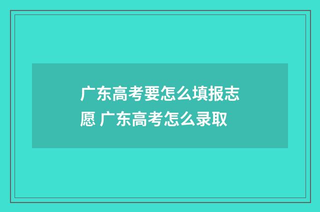 广东高考要怎么填报志愿 广东高考怎么录取