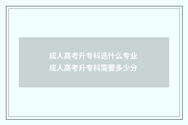 成人高考升专科选什么专业 成人高考升专科需要多少分
