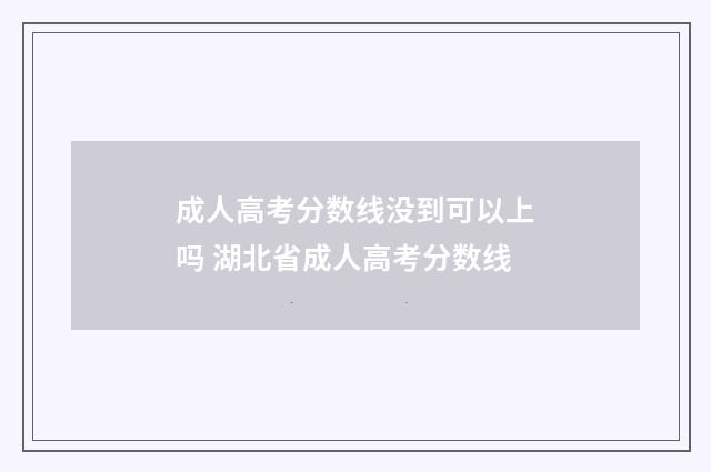 成人高考分数线没到可以上吗 湖北省成人高考分数线