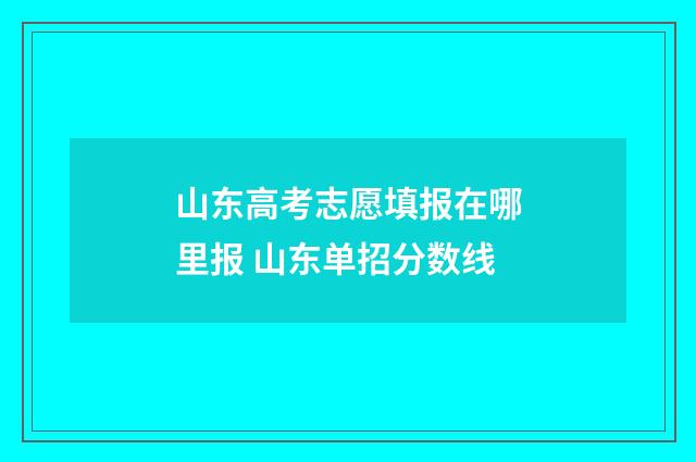山东高考志愿填报在哪里报 山东单招分数线