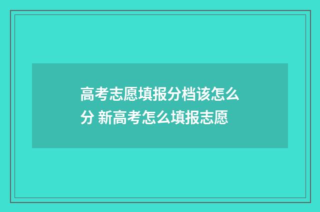 高考志愿填报分档该怎么分 新高考怎么填报志愿