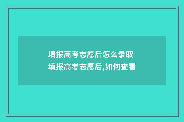 填报高考志愿后怎么录取 填报高考志愿后,如何查看