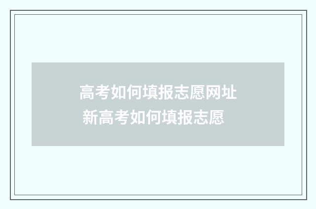 高考如何填报志愿网址 新高考如何填报志愿