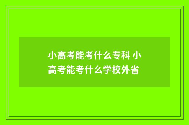 小高考能考什么专科 小高考能考什么学校外省