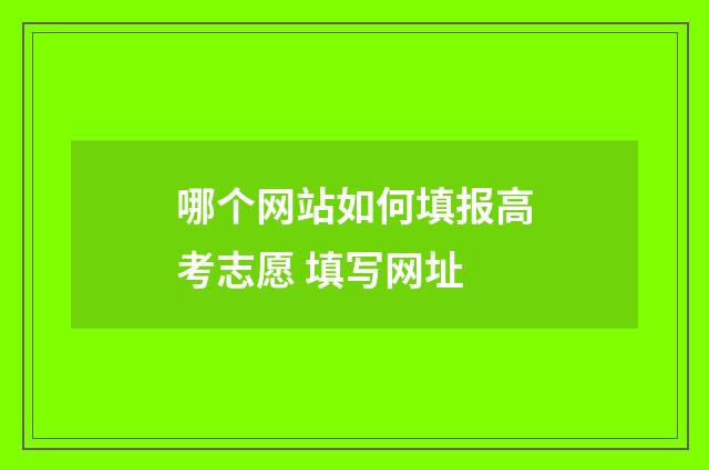 哪个网站如何填报高考志愿 填写网址