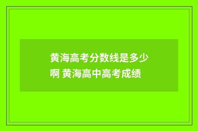 黄海高考分数线是多少啊 黄海高中高考成绩