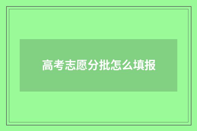 高考志愿分批怎么填报
