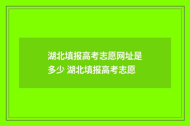 湖北填报高考志愿网址是多少 湖北填报高考志愿
