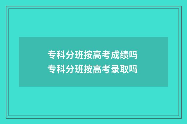专科分班按高考成绩吗 专科分班按高考录取吗