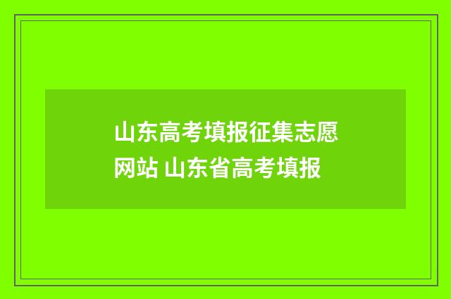 山东高考填报征集志愿网站 山东省高考填报