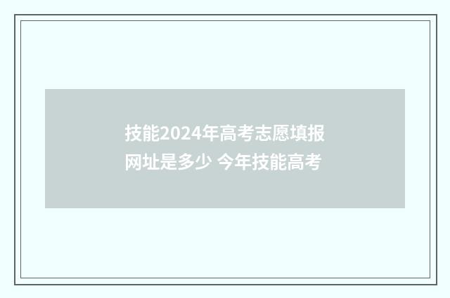 技能2024年高考志愿填报网址是多少 今年技能高考