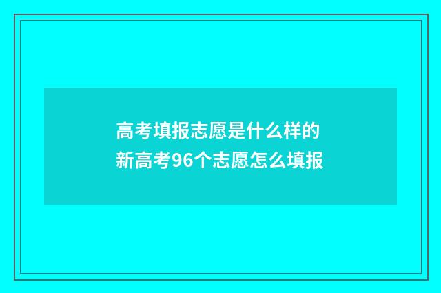 高考填报志愿是什么样的 新高考96个志愿怎么填报