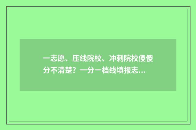 一志愿、压线院校、冲刺院校傻傻分不清楚？一分一档线填报志愿指南助你一臂之力 第一志愿刚好压投档线怎么办