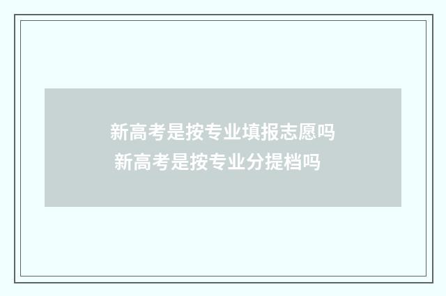 新高考是按专业填报志愿吗 新高考是按专业分提档吗