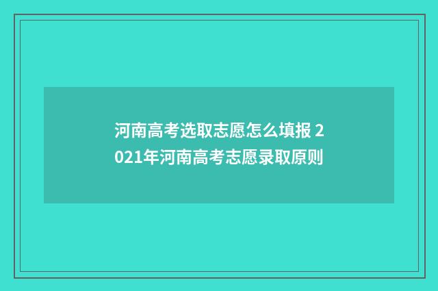 河南高考选取志愿怎么填报 2021年河南高考志愿录取原则