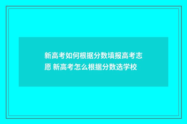 新高考如何根据分数填报高考志愿 新高考怎么根据分数选学校