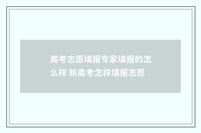 高考志愿填报专家填报的怎么样 新高考怎样填报志愿