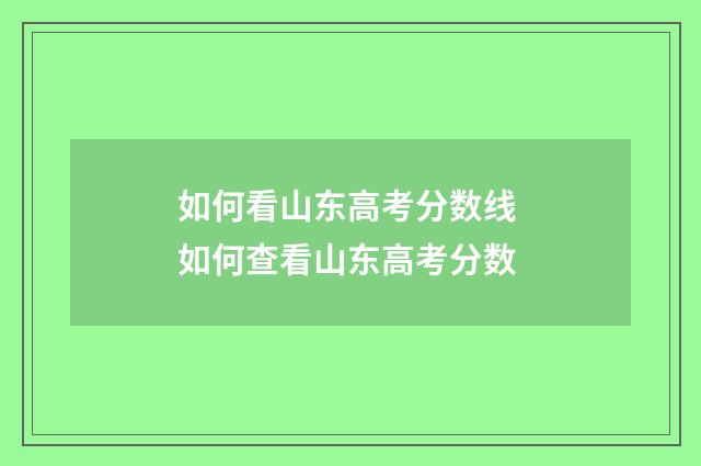 如何看山东高考分数线 如何查看山东高考分数
