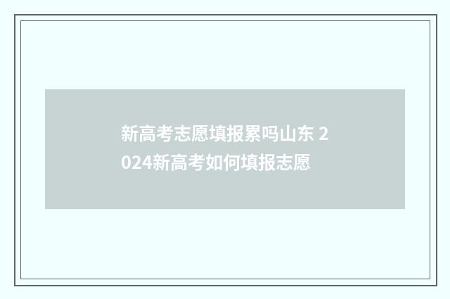 新高考志愿填报累吗山东 2024新高考如何填报志愿