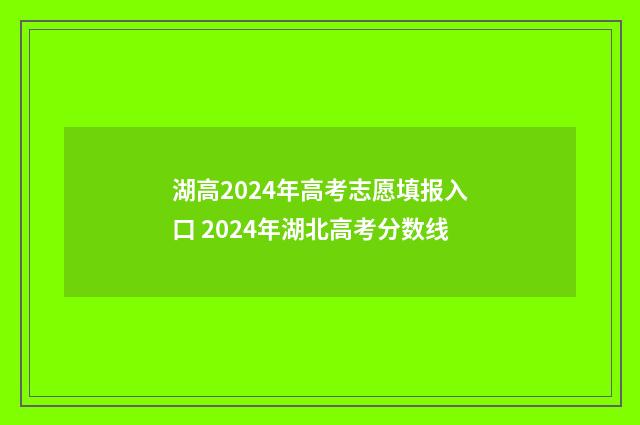 湖高2024年高考志愿填报入口 2024年湖北高考分数线