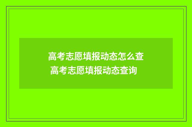 高考志愿填报动态怎么查 高考志愿填报动态查询
