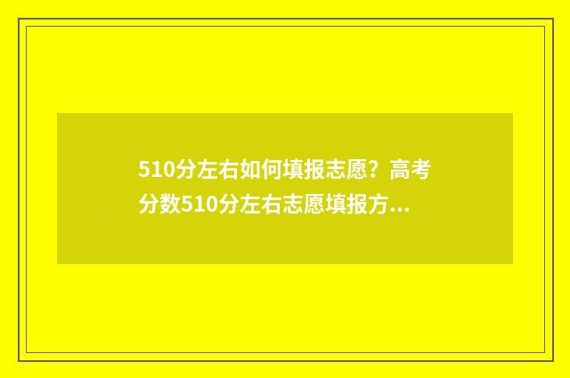 510分左右如何填报志愿？高考分数510分左右志愿填报方案 510分可以考上什么高中