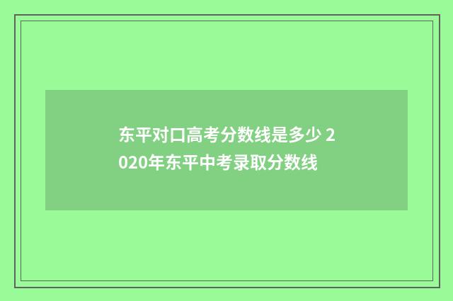 东平对口高考分数线是多少 2020年东平中考录取分数线