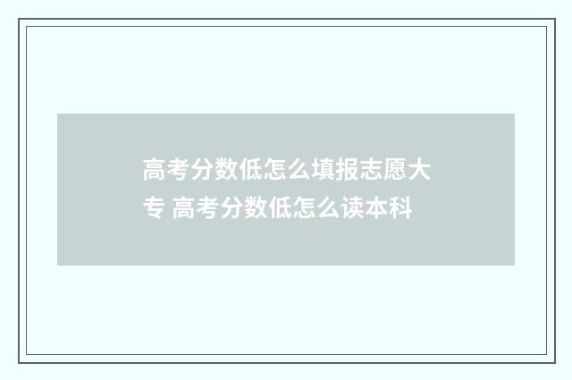 高考分数低怎么填报志愿大专 高考分数低怎么读本科