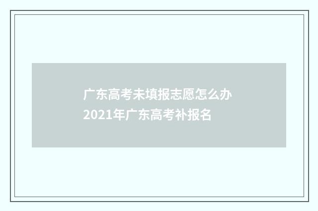 广东高考未填报志愿怎么办 2021年广东高考补报名