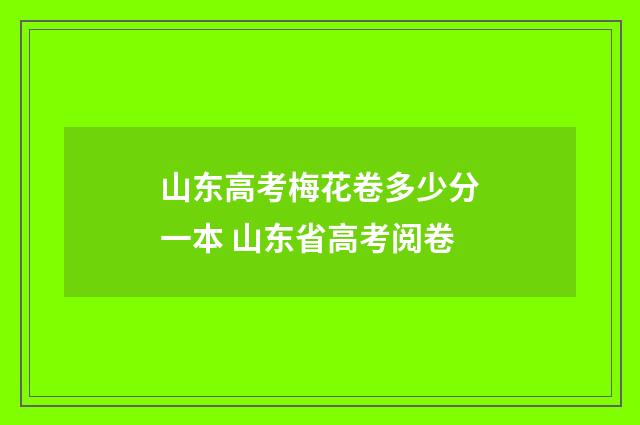 山东高考梅花卷多少分一本 山东省高考阅卷