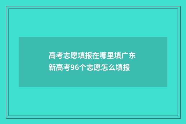 高考志愿填报在哪里填广东 新高考96个志愿怎么填报