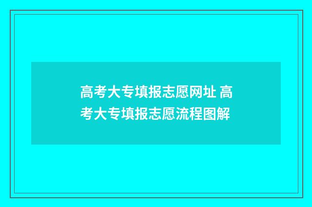 高考大专填报志愿网址 高考大专填报志愿流程图解