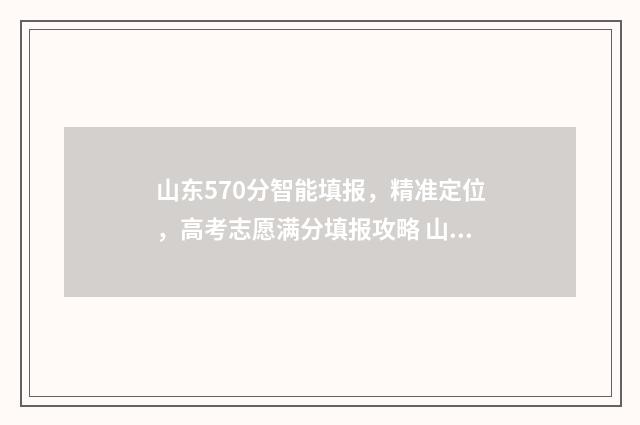 山东570分智能填报，精准定位，高考志愿满分填报攻略 山东533分