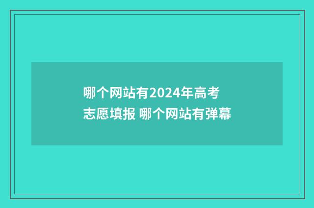 哪个网站有2024年高考志愿填报 哪个网站有弹幕