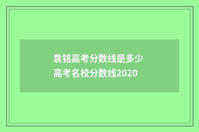 袁铭高考分数线是多少 高考名校分数线2020
