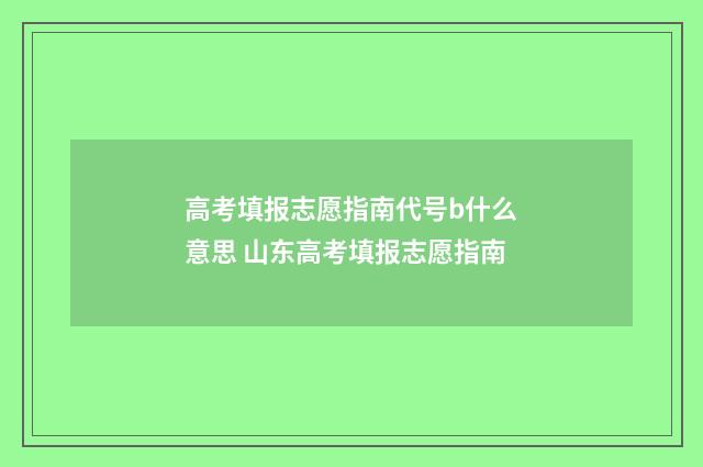 高考填报志愿指南代号b什么意思 山东高考填报志愿指南