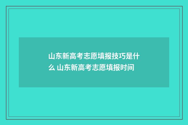 山东新高考志愿填报技巧是什么 山东新高考志愿填报时间
